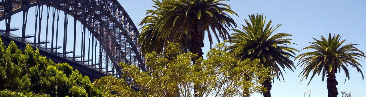 ddos攻击在哪能买到